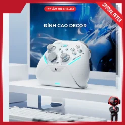ngoại hình độc đáo, tinh tế